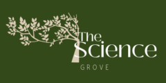 The Science Grove_Africa